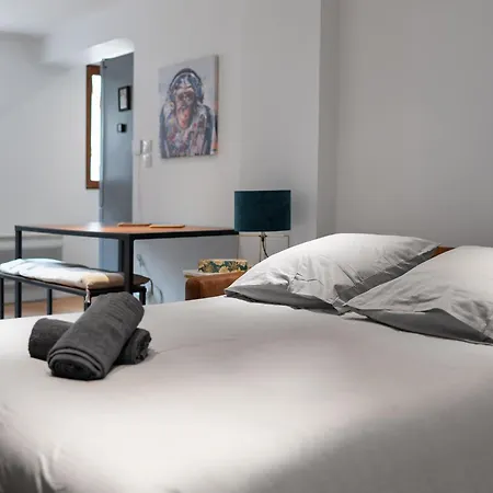 Le Gorille Hypercentre Et Climatisation Apartment