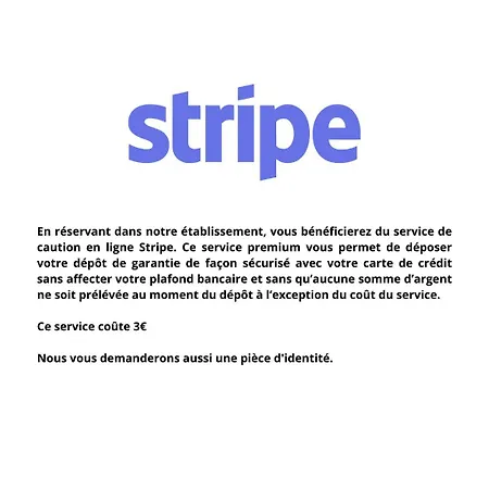 Le Gorille Hypercentre Et Climatisation Apartmán