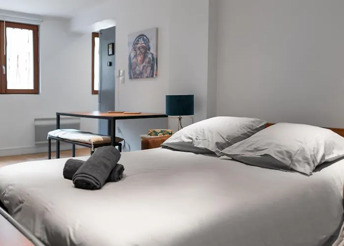 Le Gorille Hypercentre Et Climatisation Διαμέρισμα