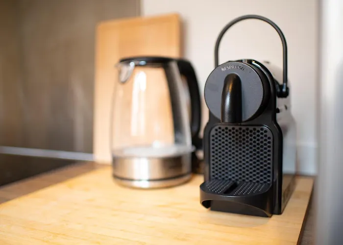 Le Gorille Hypercentre Et Climatisation * Τουλούζη