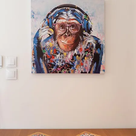 Le Gorille Hypercentre Et Climatisation Lejlighed *